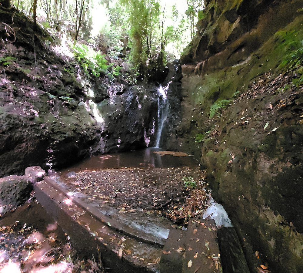 Levada do(s) Moinho(s) — Crossing the eastern side branch of the Ribeira do Tristao — photo 2