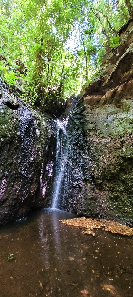 Levada do(s) Moinho(s) — Crossing the eastern side branch of the Ribeira do Tristao — photo 3