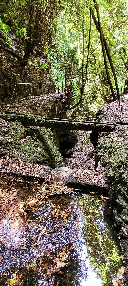 Levada do(s) Moinho(s) — Crossing the eastern side branch of the Ribeira do Tristao — photo 4