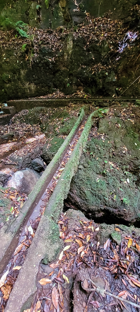 Levada do(s) Moinho(s) — Crossing the eastern side branch of the Ribeira do Tristao — photo 5