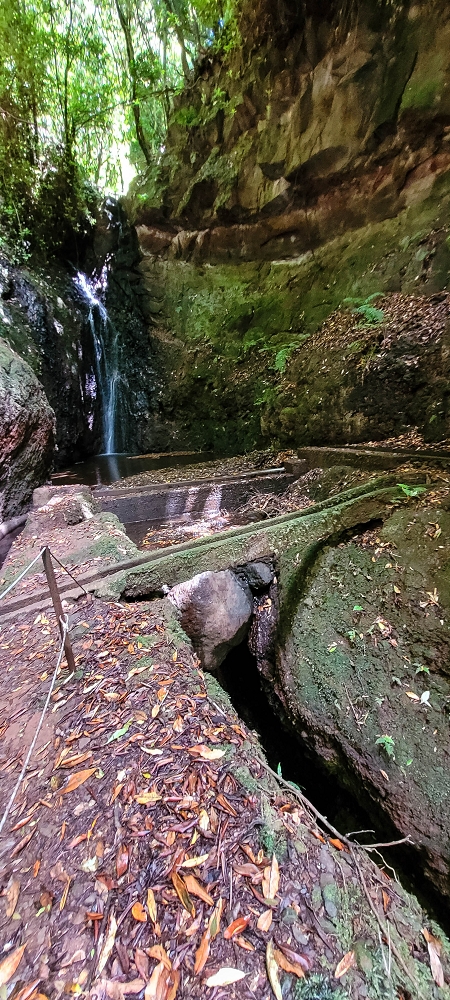 Levada do(s) Moinho(s) — Crossing the eastern side branch of the Ribeira do Tristao — photo 6