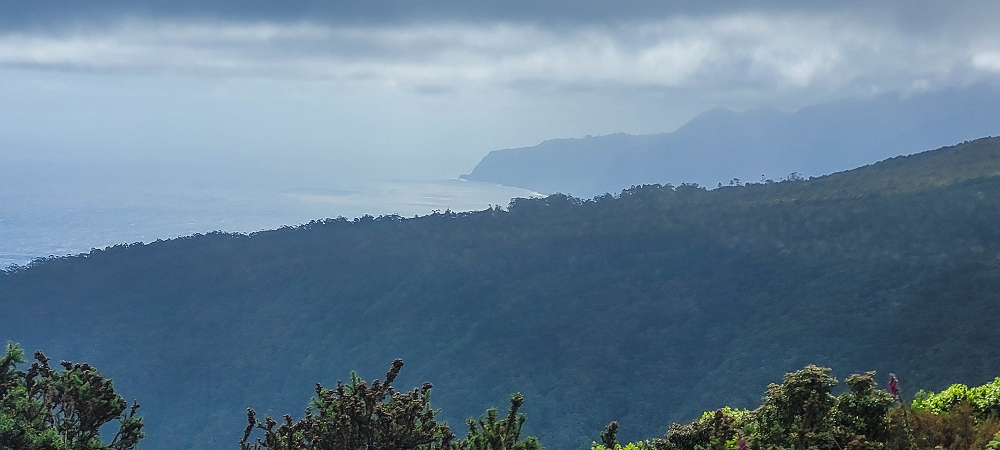 21 June 2022 Beautiful loop via the Levada do Brasileiro and dos Moinhos — 'Local weather forecast' at the Lagoa do Bardo — photo 2