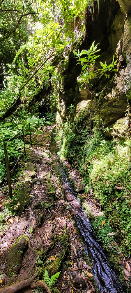 Levada do(s) Moinho(s) — Crossing the eastern side branch of the Ribeira do Tristao — photo 7