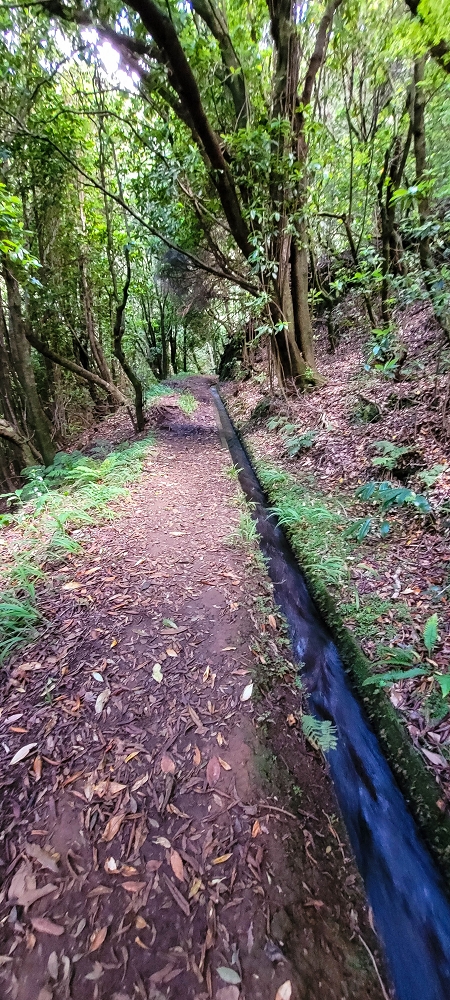 Levada do(s) Moinho(s) — Crossing the western side branch of the Ribeira do Tristao — photo 1