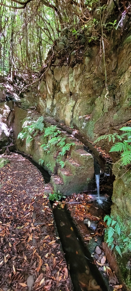 Levada do(s) Moinho(s) — Crossing the western side branch of the Ribeira do Tristao — photo 2