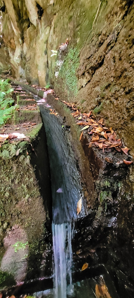 Levada do(s) Moinho(s) — Crossing the western side branch of the Ribeira do Tristao — photo 3