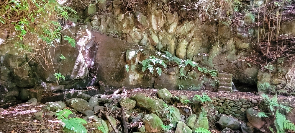 Levada do(s) Moinho(s) — Crossing the western side branch of the Ribeira do Tristao — photo 4