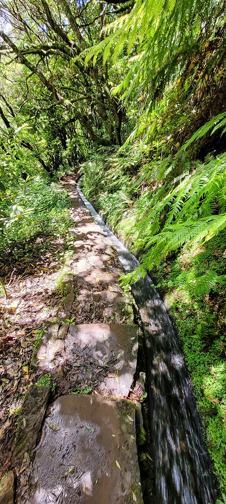 Levada do(s) Moinho(s) — The levada stair — photo 1