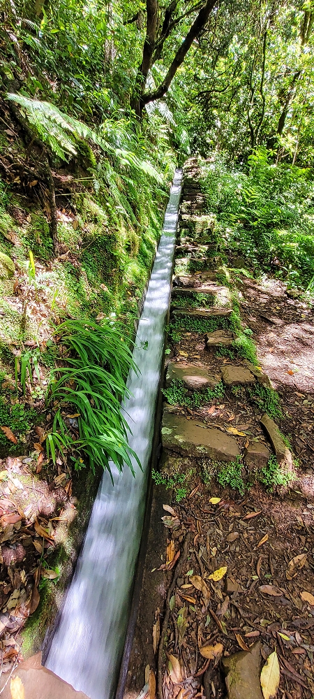 Levada do(s) Moinho(s) — The levada stair — photo 2
