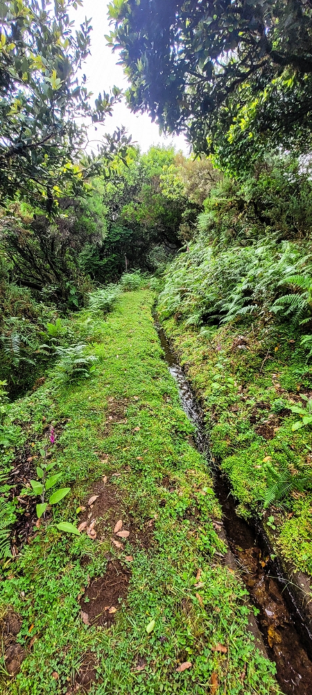 21 June 2022 Beautiful loop via the Levada do Brasileiro and dos Moinhos — Over the Levada do Brasileiro — photo 1