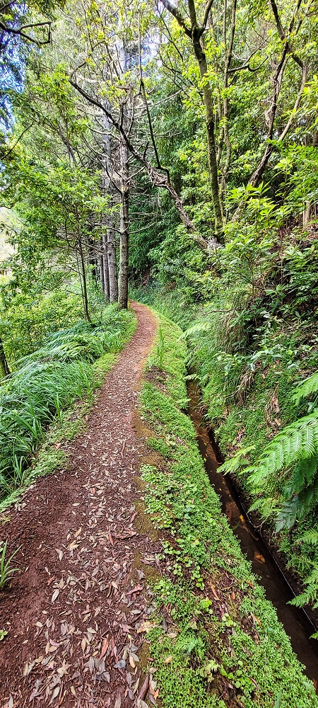 Levada do(s) Moinho(s) — Portas da Vila, crossing the ER105 — photo 1