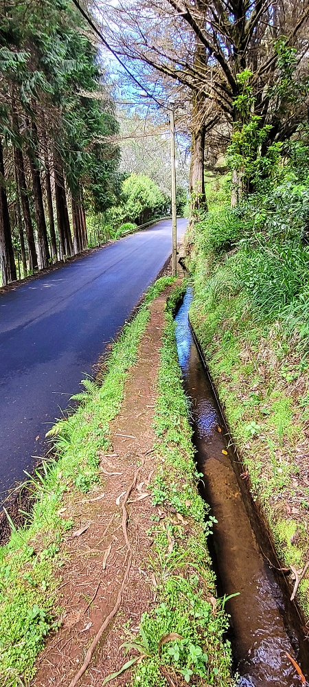 Levada do(s) Moinho(s) — Portas da Vila, crossing the ER105 — photo 2