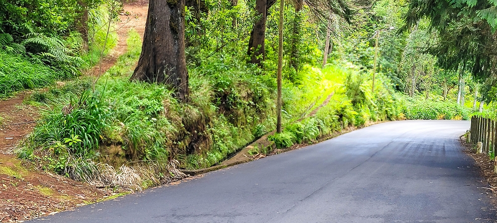 Levada do(s) Moinho(s) — Portas da Vila, crossing the ER105 — photo 4