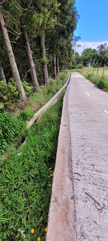 Levada do Brasileiro — Entlang der ER105 — Foto 4