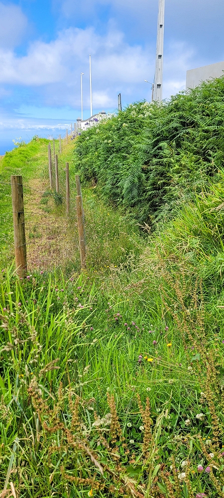Levada do Brasileiro — Entlang der ER105 — Foto 2