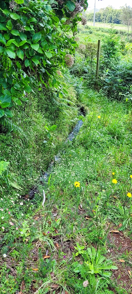 Levada do Brasileiro — Entlang der ER105 — Foto 1