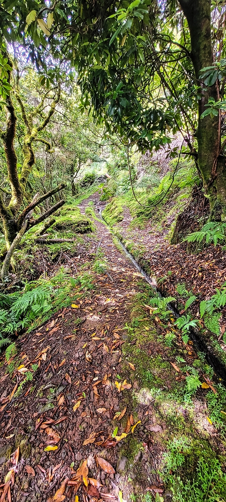 21 June 2022 Beautiful loop via the Levada do Brasileiro and dos Moinhos — Over the Levada do Brasileiro — photo 2