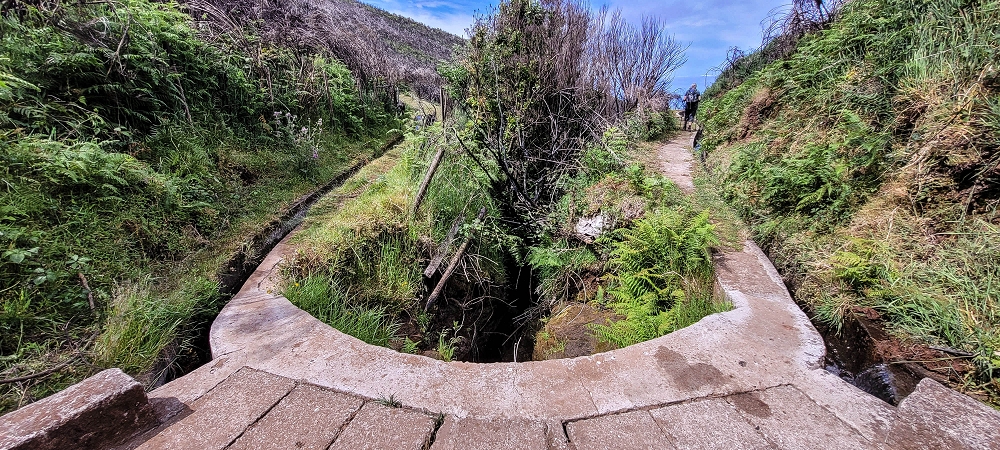 21 June 2024 Gorse and sun on the Levada do Paul — As far as the end of the levada — photo 5