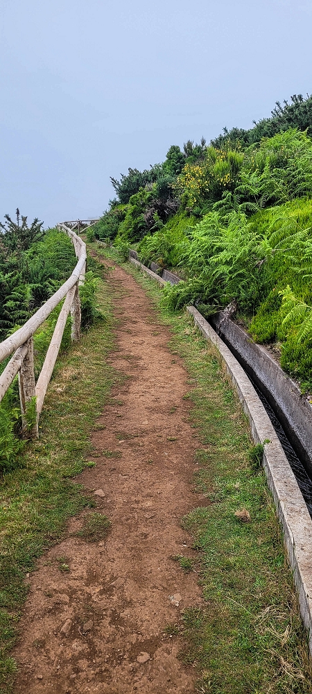 21 June 2024 Gorse and sun on the Levada do Paul — As far as the end of the levada — photo 13