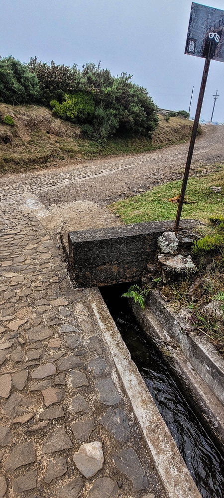 21 June 2024 Gorse and sun on the Levada do Paul — The end by the chapel — photo 2
