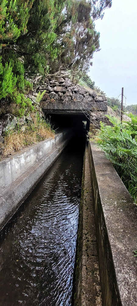 21 June 2024 Gorse and sun on the Levada do Paul — The end by the chapel — photo 3
