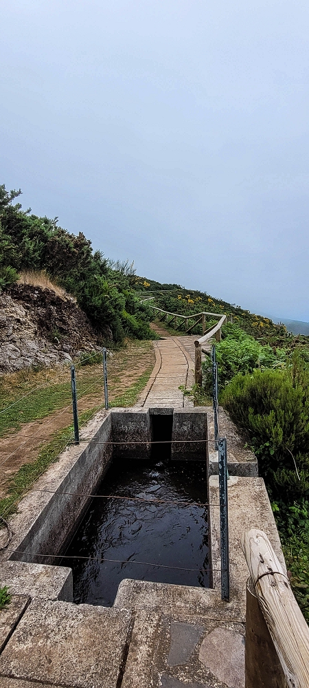 21 June 2024 Gorse and sun on the Levada do Paul — Back by the same path — photo 1