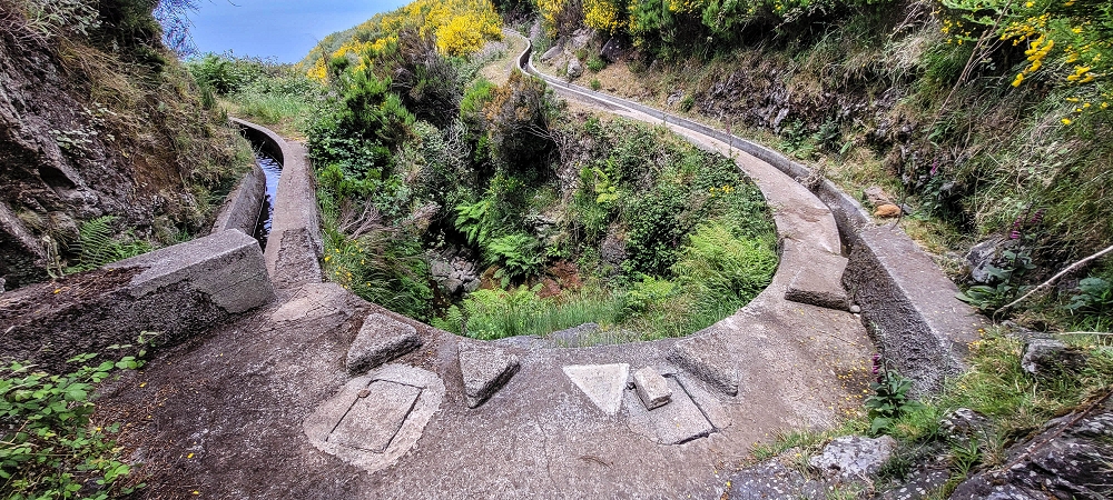 21 June 2024 Gorse and sun on the Levada do Paul — Back by the same path — photo 21