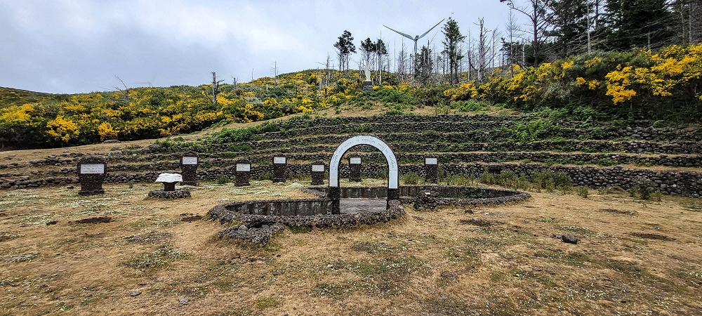 21 June 2024 Gorse and sun on the Levada do Paul — Monumento das Bem-Aventuranças — photo 2