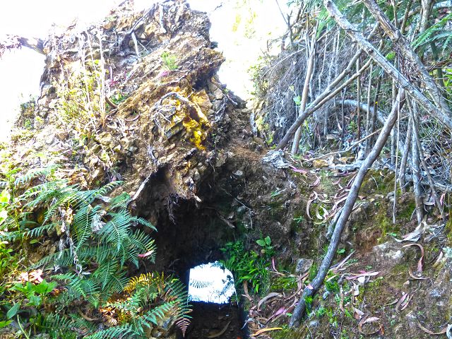 21.07.2014 Levada de Santana — Von der Kreuzung mit der ER-218 zur Madre 4 — Foto 10