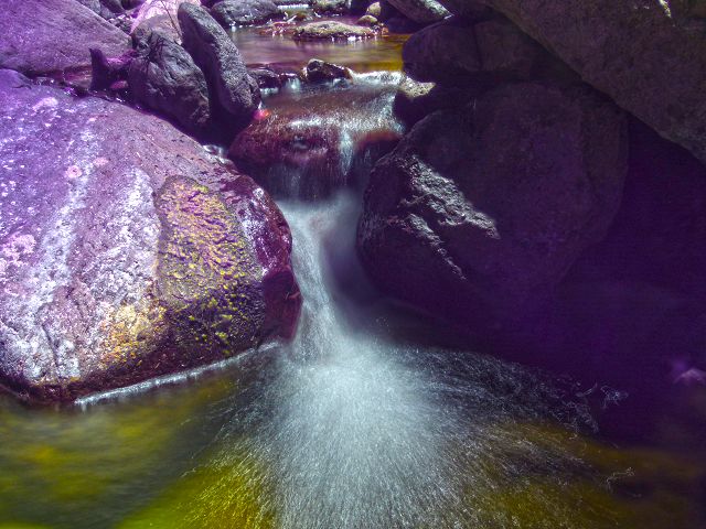 21.07.2014 Levada de Santana — Weiter zur Madre 1 — Foto 27