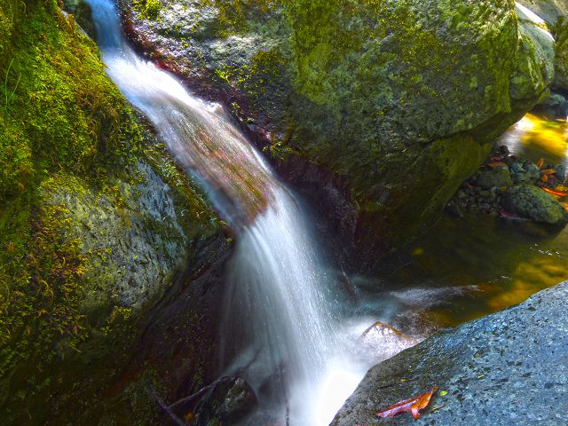 21.07.2014 Levada de Santana — Weiter zur Madre 1 — Foto 28
