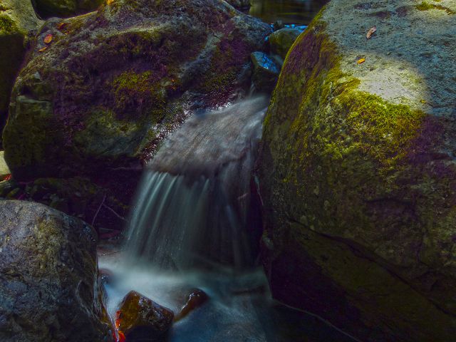 21.07.2014 Levada de Santana — Weiter zur Madre 1 — Foto 29