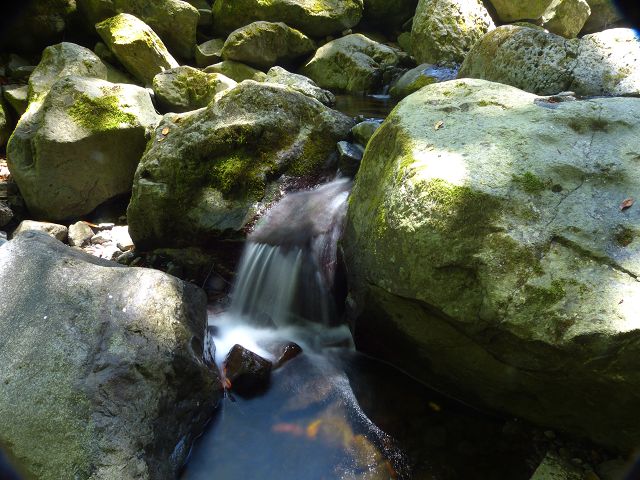 21.07.2014 Levada de Santana — Weiter zur Madre 1 — Foto 30