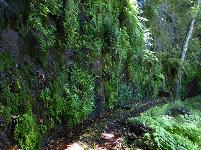 21.07.2014 Levada de Santana — Zurück zum Ausgangspunkt — Foto 6