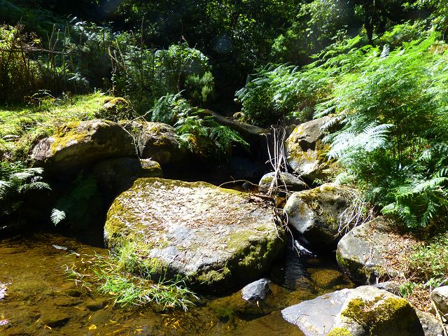 21.07.2014 Levada de Santana — Von der Kreuzung mit der ER-218 zur Madre 4 — Foto 13
