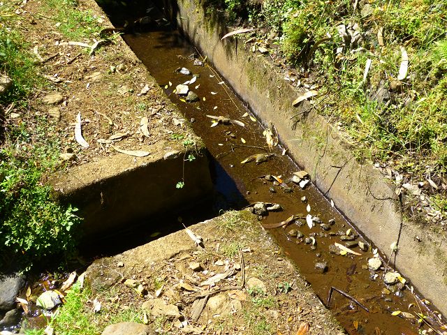 21.07.2014 Levada de Santana — Weiter zur Madre 3 — Foto 1