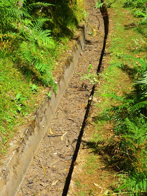 21.07.2014 Levada de Santana — Weiter zur Madre 3 — Foto 2