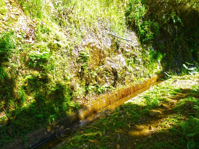 21.07.2014 Levada de Santana — Weiter zur Madre 3 — Foto 4