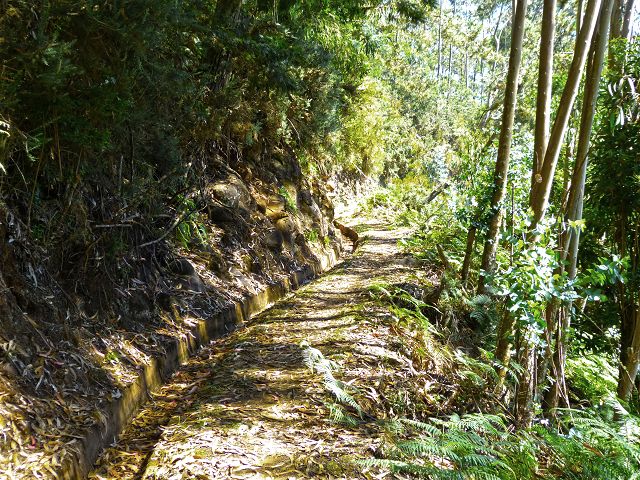 21.07.2014 Levada de Santana — Weiter zur Madre 3 — Foto 5