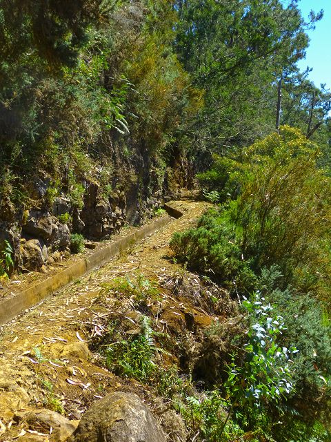 21.07.2014 Levada de Santana — Weiter zur Madre 3 — Foto 6