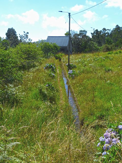 21.07.2014 Levada de Santana — Von der Kreuzung mit der ER-218 zur Madre 4 — Foto 2