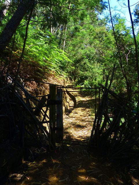 21.07.2014 Levada de Santana — Weiter zur Madre 3 — Foto 7