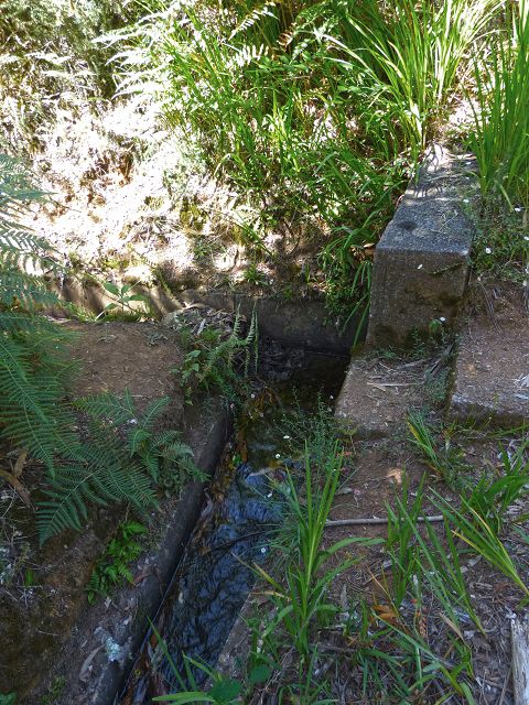 21.07.2014 Levada de Santana — Weiter zur Madre 3 — Foto 8