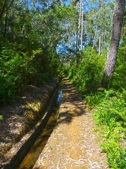 21.07.2014 Levada de Santana — Weiter zur Madre 3 — Foto 9