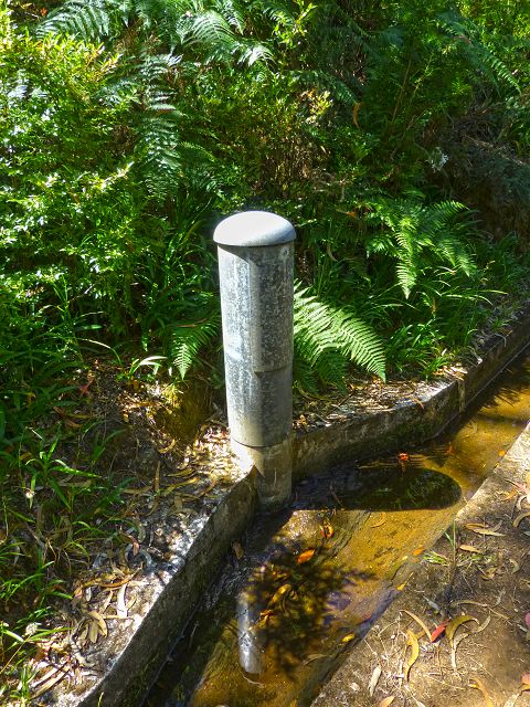 21.07.2014 Levada de Santana — Weiter zur Madre 3 — Foto 11