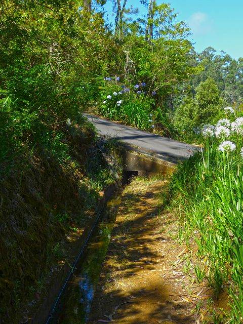 21.07.2014 Levada de Santana — Weiter zur Madre 3 — Foto 12
