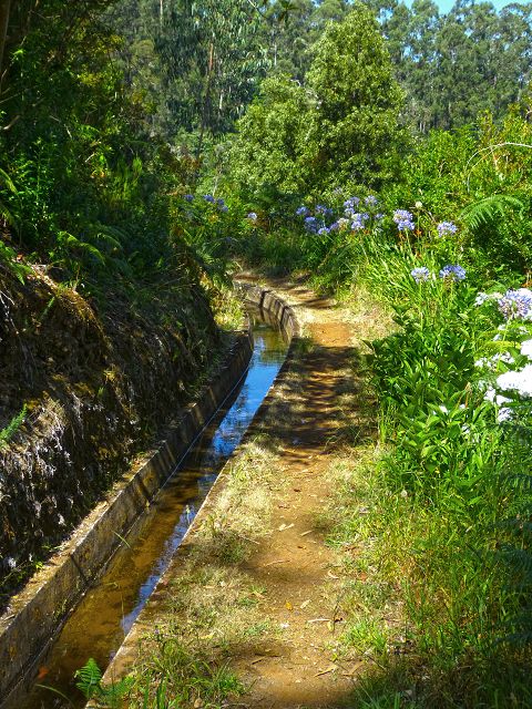 21.07.2014 Levada de Santana — Weiter zur Madre 3 — Foto 13