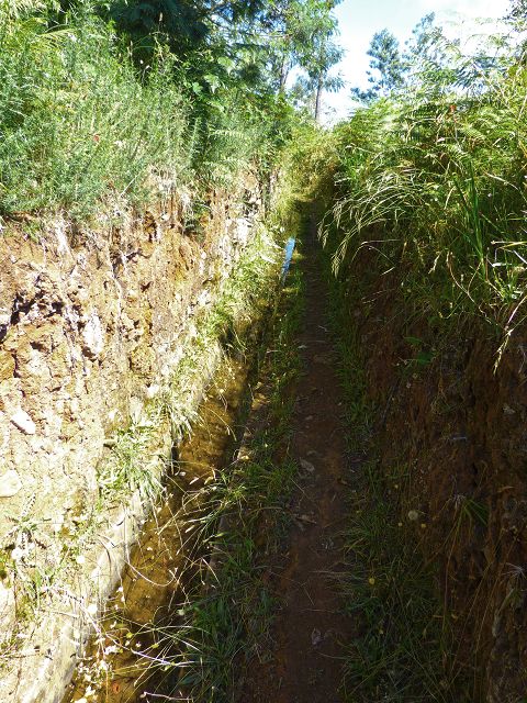 21.07.2014 Levada de Santana — Von der Kreuzung mit der ER-218 zur Madre 4 — Foto 3