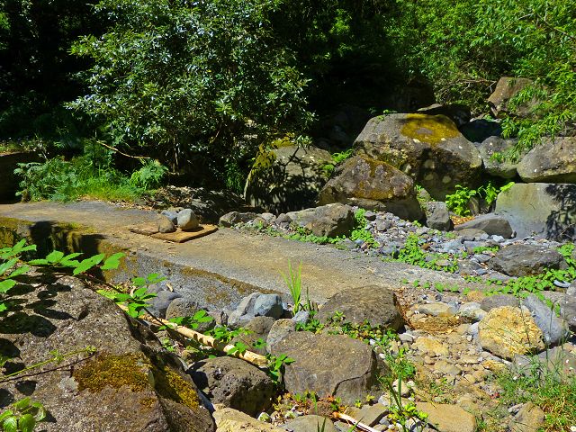 21.07.2014 Levada de Santana — Weiter zur Madre 3 — Foto 19