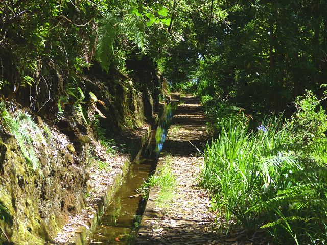 21.07.2014 Levada de Santana — Weiter zur Madre 3 — Foto 21